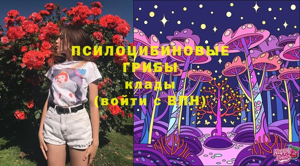 СК Вязники